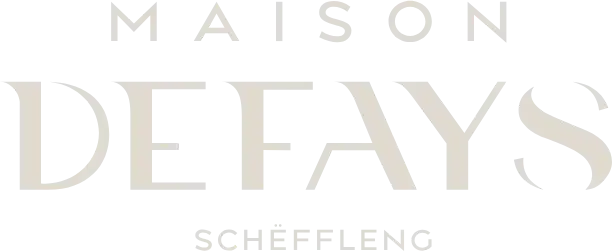 Logo_XS_MaisonDefays (2) (2) (1) Logo_XS_MaisonDefays (2) (2) (1)